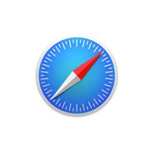 Browser Icon